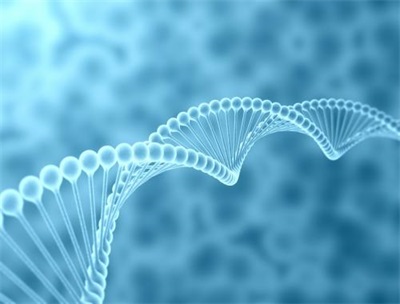 生物学习金博教育辅导